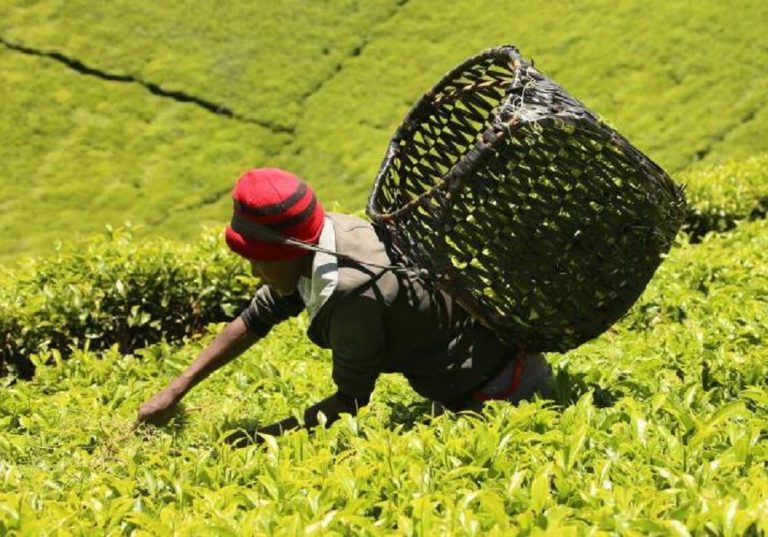 nid8ibmhmxszq5f6f6cc27558c